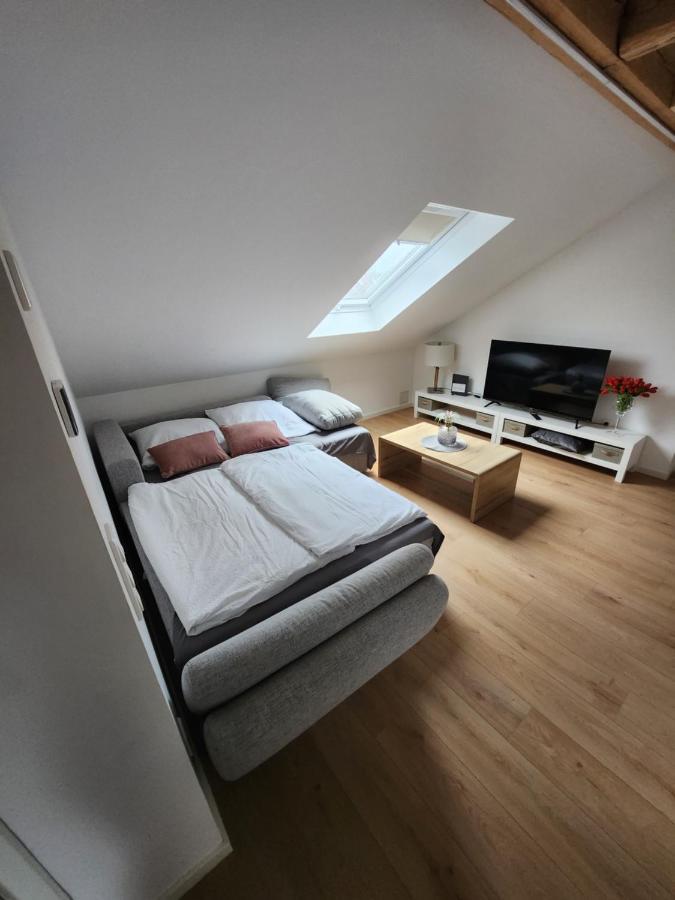 Apartment Katarina Oberasbach Buitenkant foto